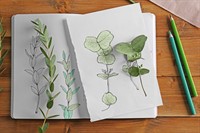 Drawn to Nature for Teens with Sara Ratza