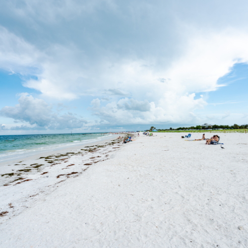 Prestine Beaches & Nature Walks