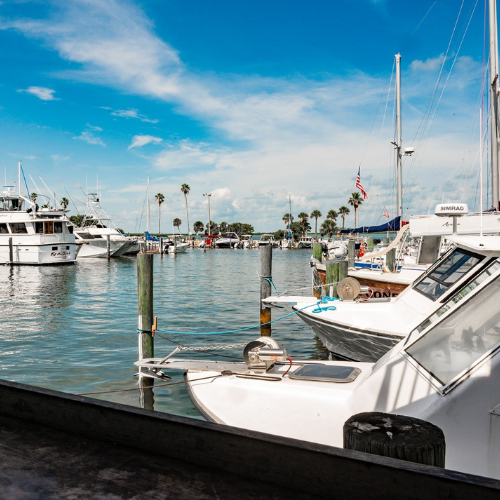 Savor fresh bites with a front-row seat to Dunedin’s marina views. 