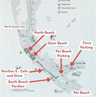 Silent Book Club Honeymoon Island North Beach