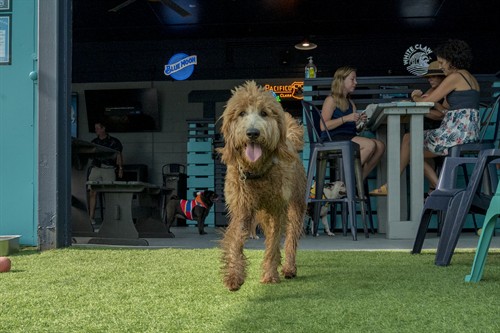 Gallery Image dsc_1348.jpg