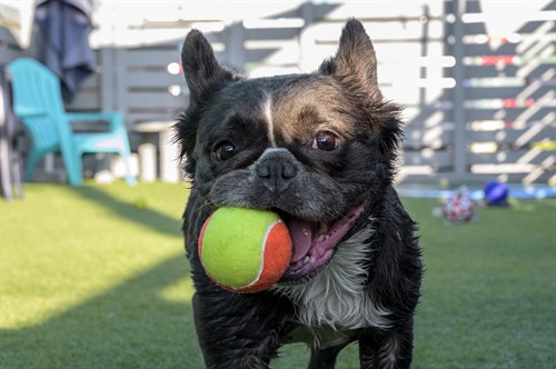 Gallery Image dsc_5735.jpg