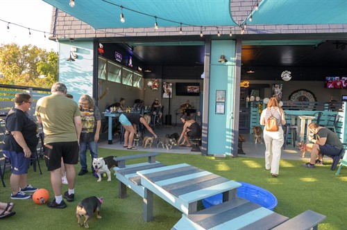 Gallery Image dsc_5891.jpg