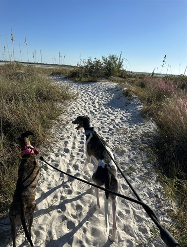 Gallery Image drift_stevee_beach.jpg