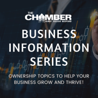 Business Information Series