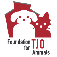 Foundation for TJO Animals Awarded $185,000 Grant from Wiederhold Foundation