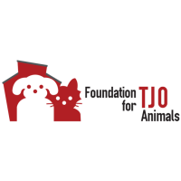 Pioneer Valley Financial Charitable Fund Donates $10,000 to Support TJO Animal Shelter's Response to Parvovirus and Panleukopenia