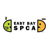 East Bay SPCA's Paint Fur a Purpose