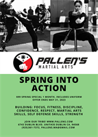 Pallen's Martial Arts Dublin - Dublin