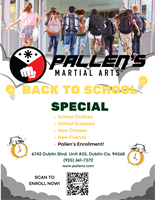Pallen's Martial Arts Dublin - Dublin