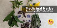 Medicinal Herbs: Gardening & DIY Tincture Class