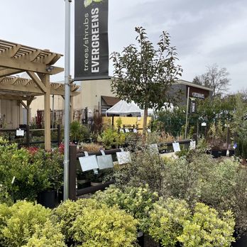 Gallery Image 348s.jpg