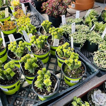 Gallery Image 348s_(1).jpg