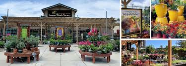 Gallery Image images.jpg