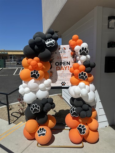 Open Day