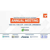 Annual Meeting