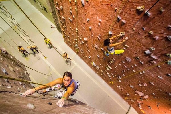 Wild Walls Climbing Gym & Yoga Wild Walls Climbing Gym & Yoga