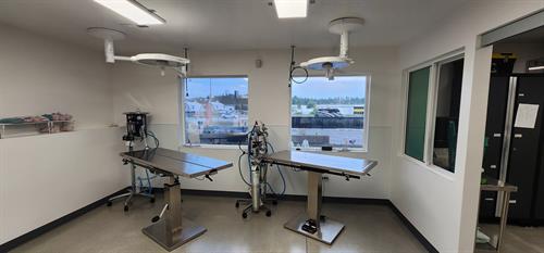 Surgery Suite Surgery Suite
