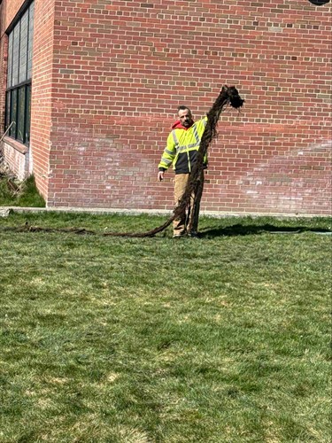 Gallery Image Trenchless_Sewer_Line_Repair_11zon.jpeg