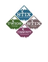 STIX Diabetes Programs