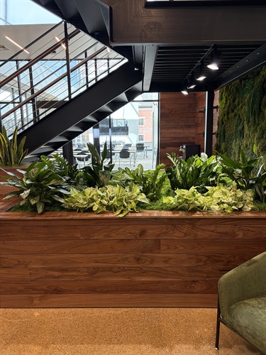 Gallery Image Clear_Water_Paper_Lobby_2.jpg