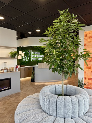 Gallery Image Dental_Office_Post_Falls_-_Tree_-_Moss_Wall_-_Plants.jpg