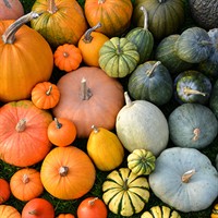 News Release: October library events offer variety for discovery, enjoyment & deliciousness