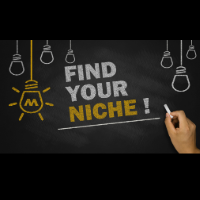 Finding Your Niche Lunch and Learn