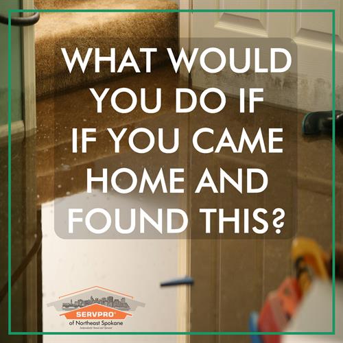 What would you do if you came home and found this? What would you do if you came home and found this?