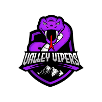 Valley Vipers Basketball Game - Chamber Night