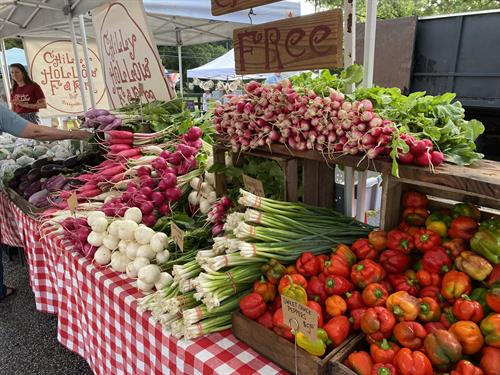 Chilly Hollow Farm Market