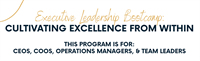 Executive Leadership Bootcamp:  Cultivating Excellence from Within (Four Session Series)