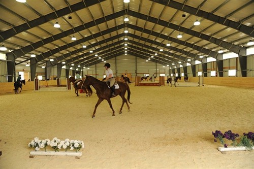 Gallery Image Arena.jpg