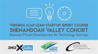 Spring 2019 ICAP Lean Startup Course	