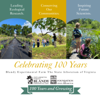  Blandy Experimental Farm Celebrates 100 Years of Science, Education, and Stewardship with Launch of Centennial Endowment Campaign