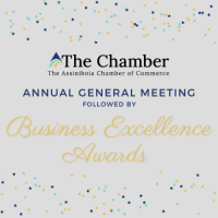 Business Excellence Awards & Annual General Meeting 2023
