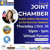 Inaugural Joint Chamber Public Safety Workshop