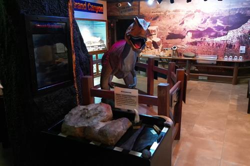 Grand Canyon Exhibit