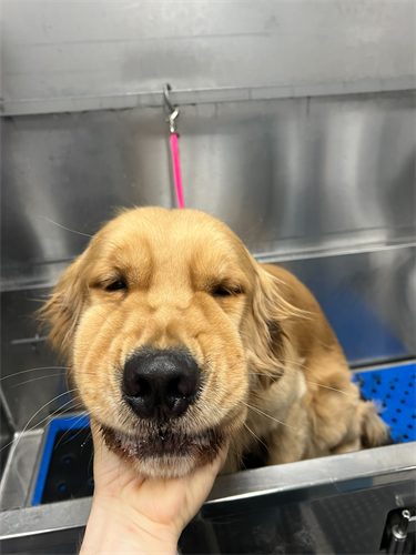 Spa Day