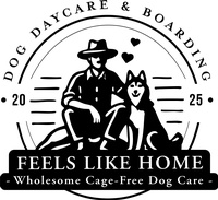 Feels Like Home Dog Care