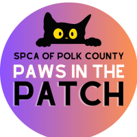 Paws in the Patch 