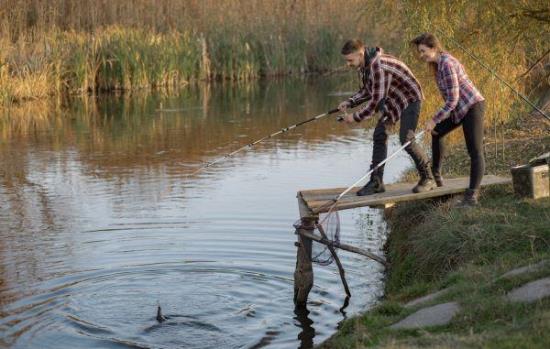 Agriculture, Fishing & Forestry