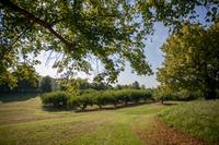 Breeden's Orchard Seasonal Reopening Date