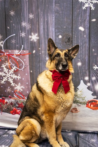 Gallery Image LFSB_Ada_Lucas-1.jpg