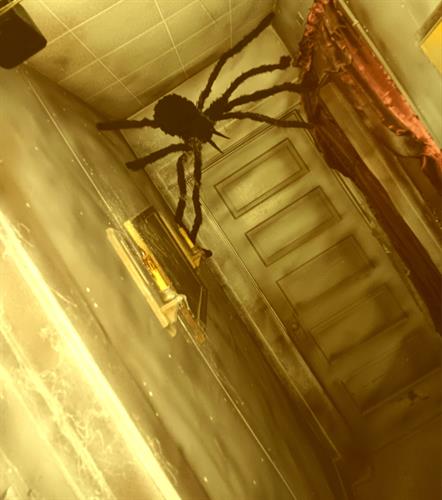 Gallery Image spider.jpg Gallery Image spider.jpg