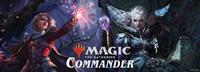 Magic the Gathering: Commander Casual