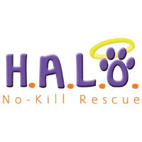 H.A.L.O. NO-KILL SHELTER | H.A.L.O.WEEN