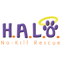 H.A.L.O. NO- KILL RESCUE | ANNUAL FUNDRAISER