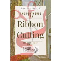 Ribbon Cutting -  The Penthouse Spa