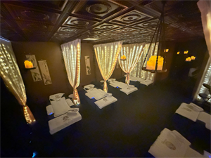 Reflexology Plus